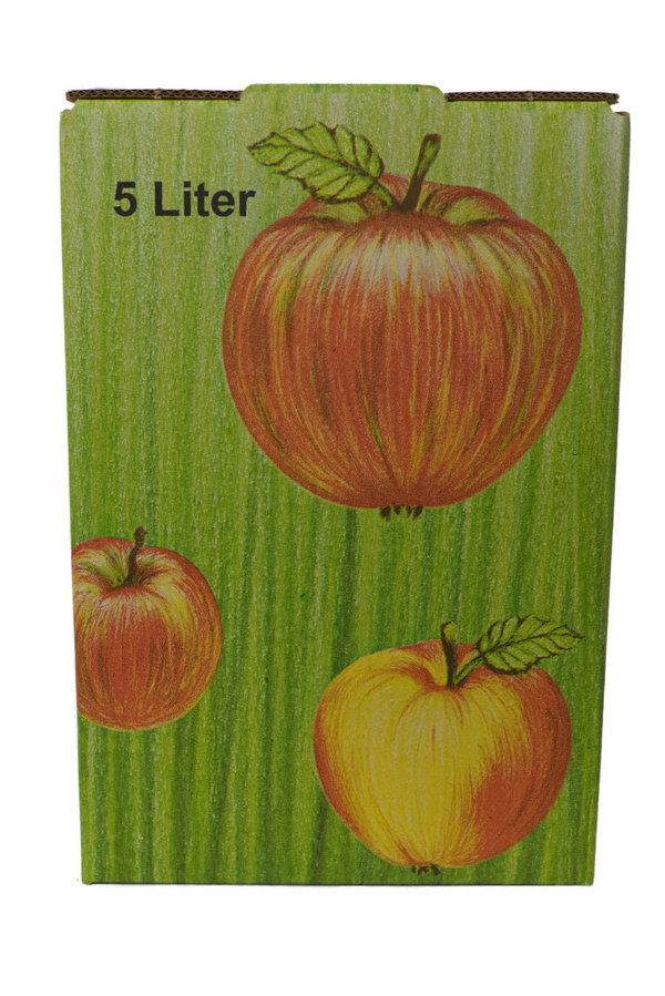 Apfelsaft naturtrüb 5 Liter BAG in Box mit Zapfhahn